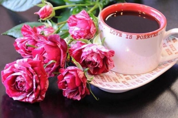Утренняя роза