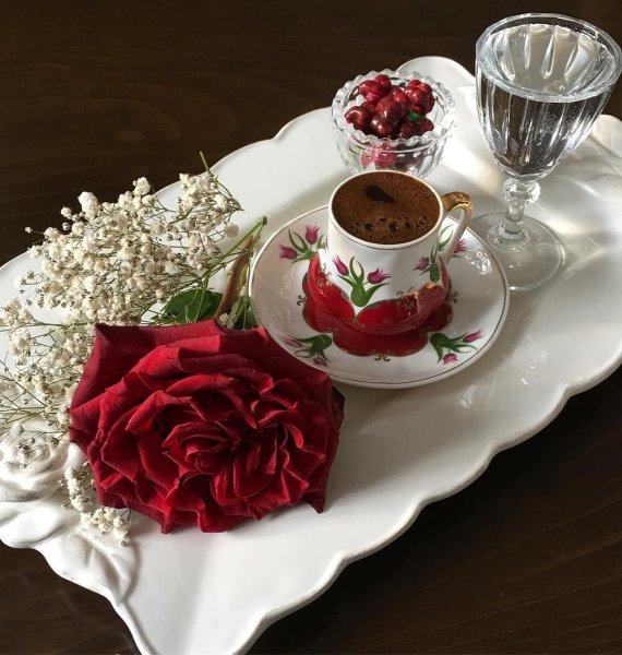 Красивые розы в чашке