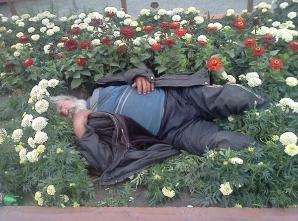 Смешной бомж с цветами