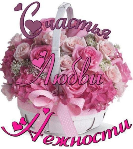 Поздравления с днём рождения с животными