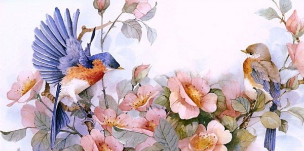 Художник Carolyn Shores акварель птицы