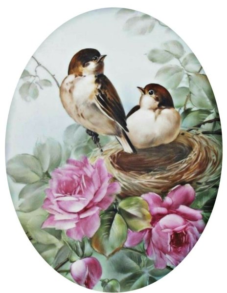 Катарина Кляйн синицы