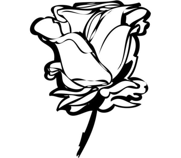 Цветы Графика