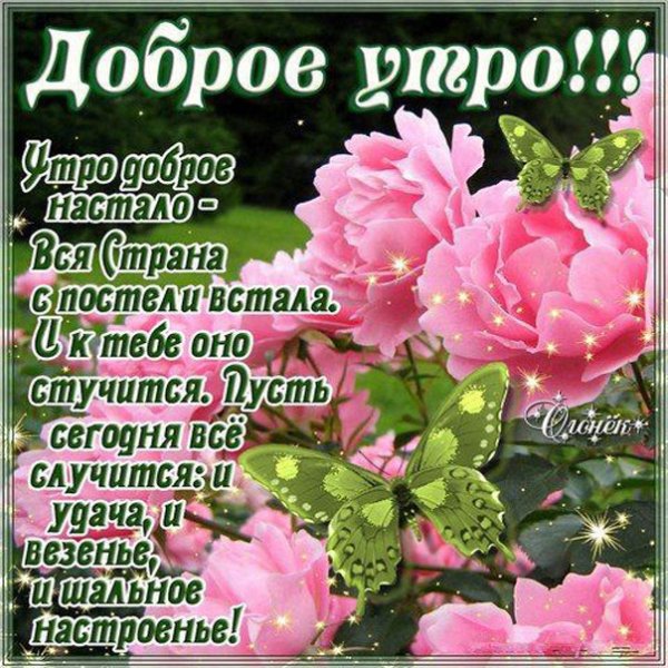 Стихи с добрым утром