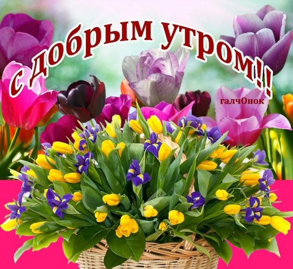 Весенние цветы с пожеланиями