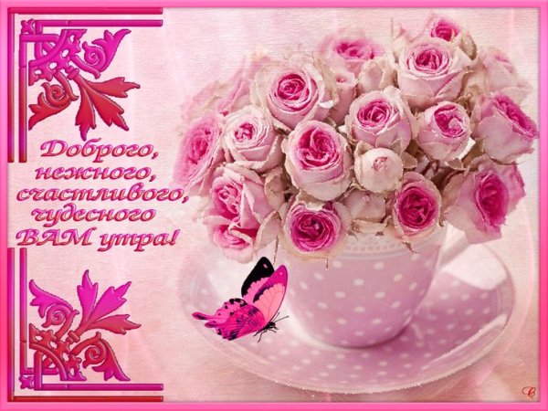 Чудесного утра