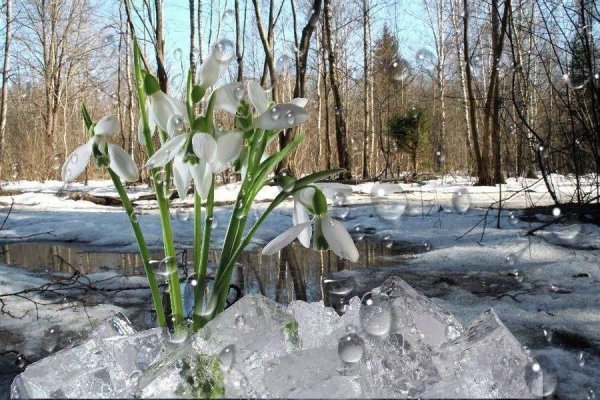 Василиса – вешней воды указательница