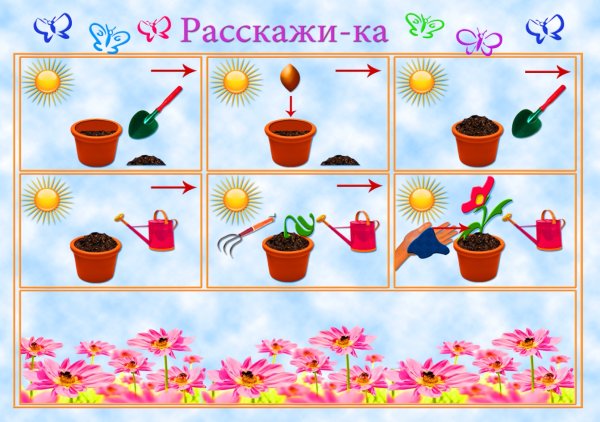 Алгоритм посадки растений
