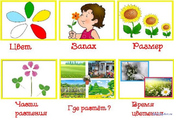Мнемотаблицы цветы