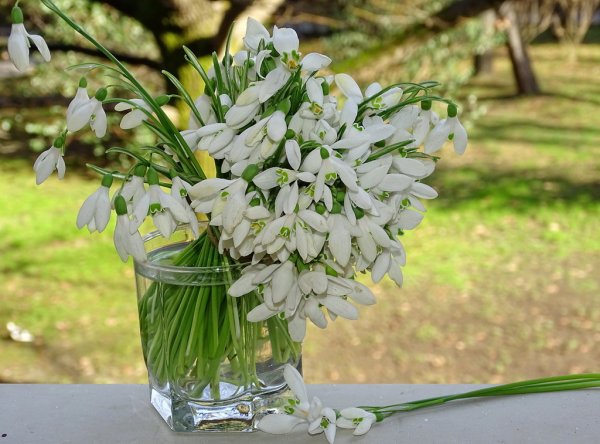 Букет ландышей в руках