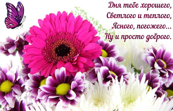 Букет «настроение»