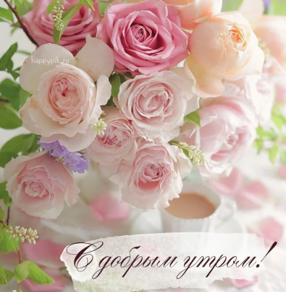 Утренний букет