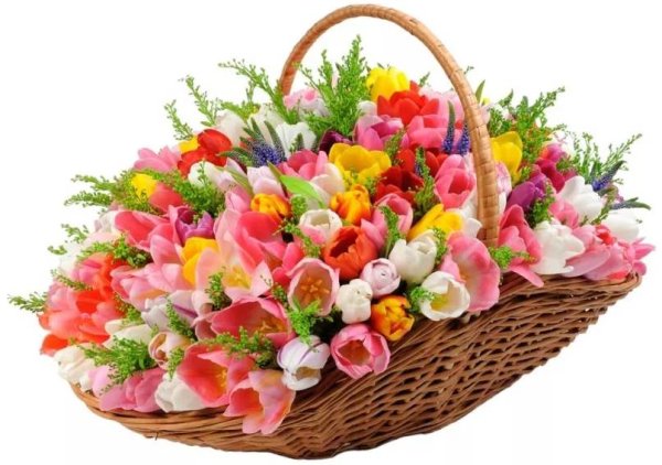 Красные розы в корзинке