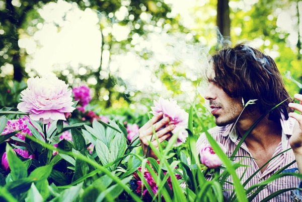 Человек цветок