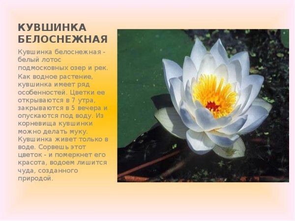 Растения красной книги России