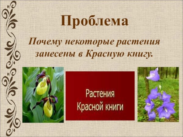 Растения занесенные в красную