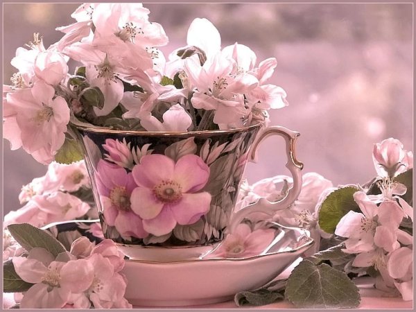 Кофе и цветы