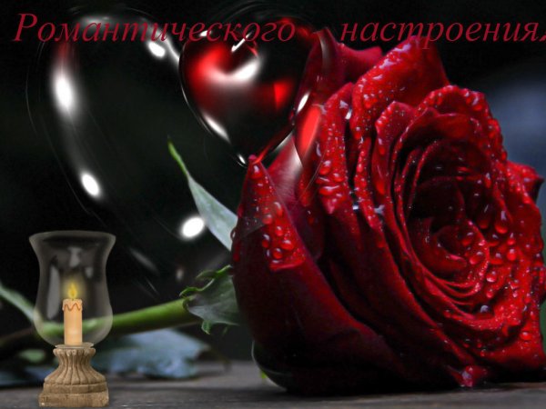 Приятные цветы
