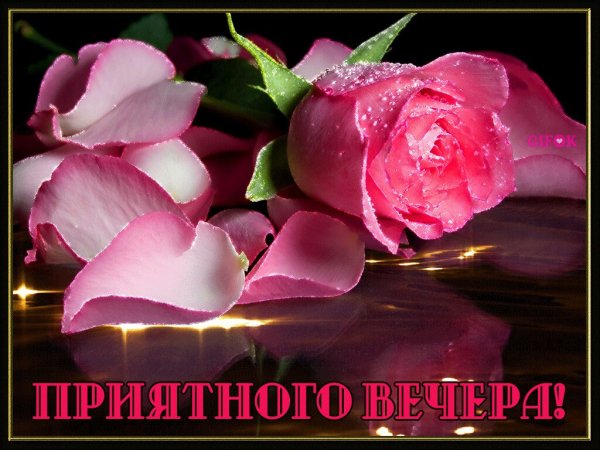 Добрый вечер душа