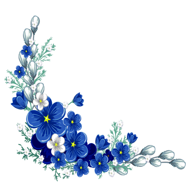 Цветы без фона