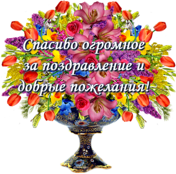 Спасибо большое за поздравления