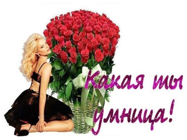 Умнице и красавице цветы