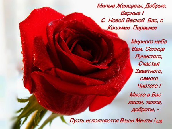 Поздравления для любимых женщин