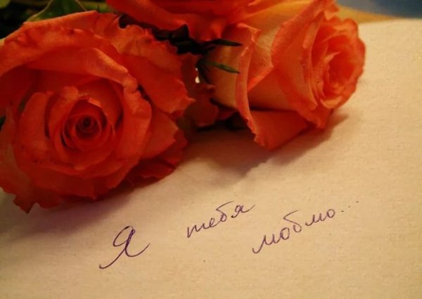 Цветы с признанием в любви