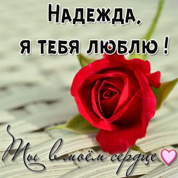 Я безумно тебя люблю