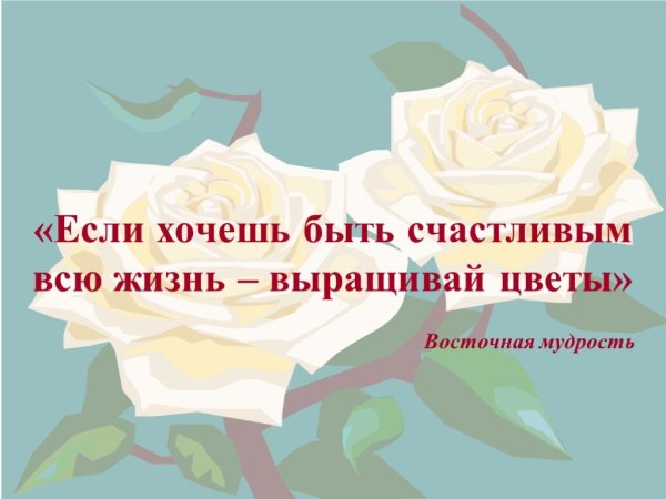 Высказывания про цветы
