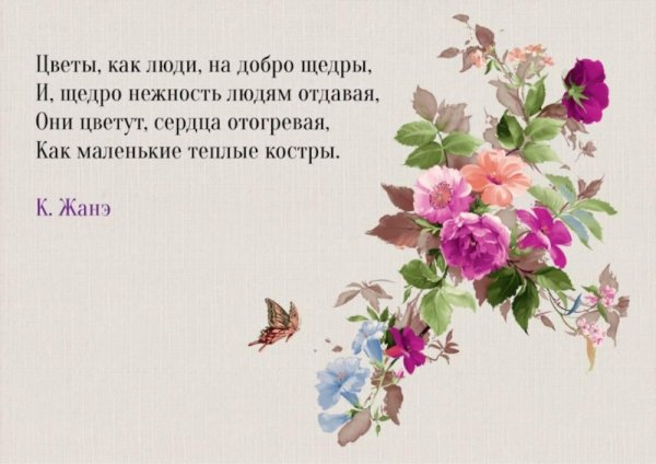 Афоризмы про цветы