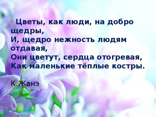 Красивые фразы про цветы
