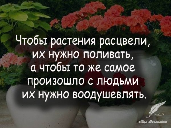 Цитаты про цветы
