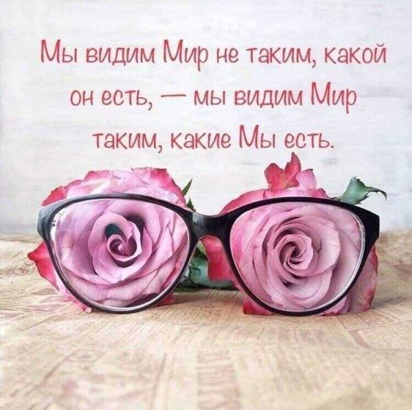 Цитаты о цветах