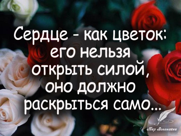 Красивые цитаты с цветами