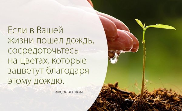 Высказывания про цветы