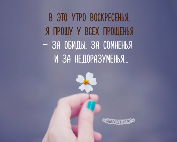 Цветы без повода