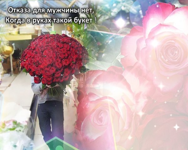 Высказывания о цветах