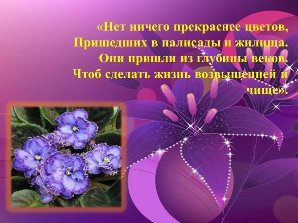 Цветы цитаты и афоризмы