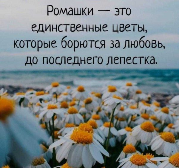 Цитаты про весну