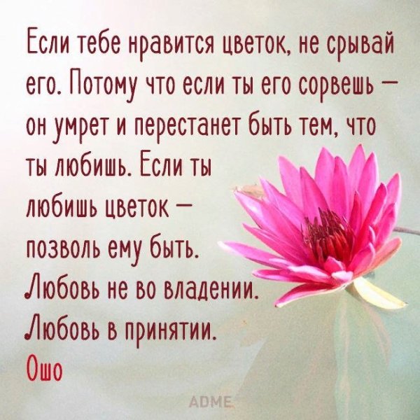 Цитаты про весну