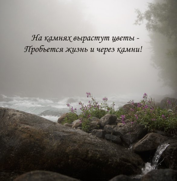 Мотиватор со смыслом