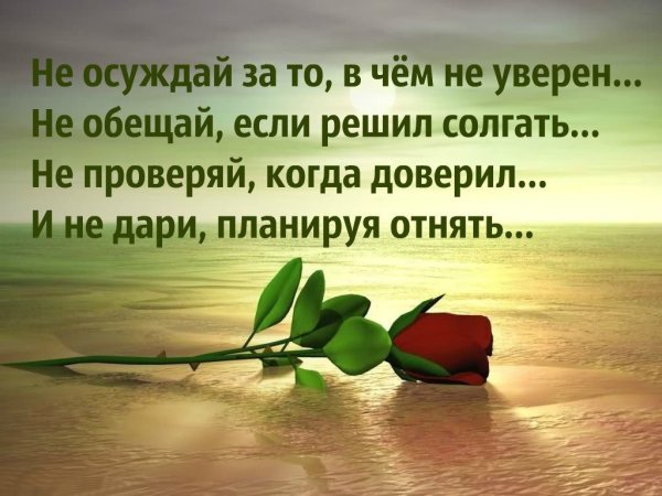 Красивые цитаты
