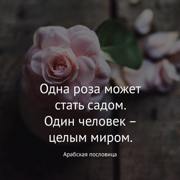 Женщина и цветы высказывания