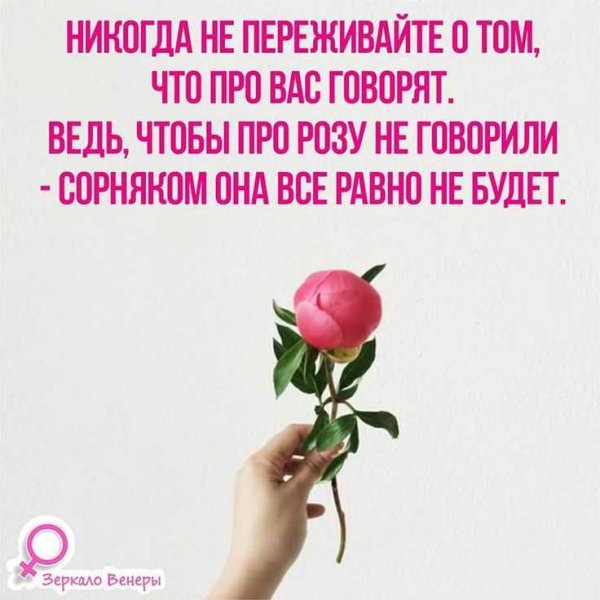 Высказывания о цветах