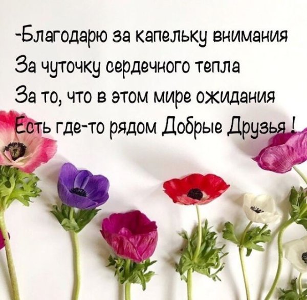 Красивые картинки на статус