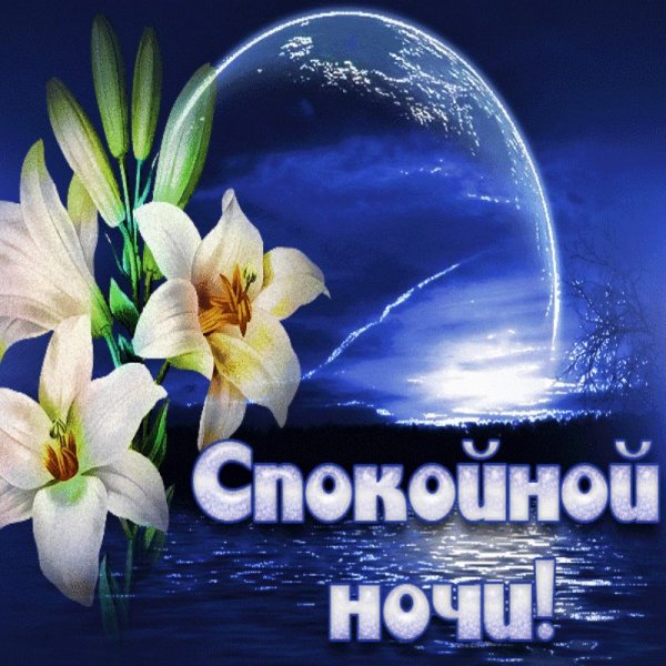Добрых снов до завтра