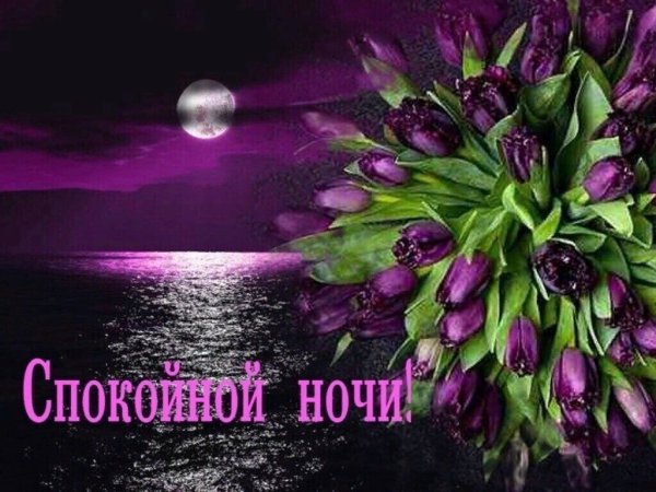 Цветы с пожеланием спокойной ночи