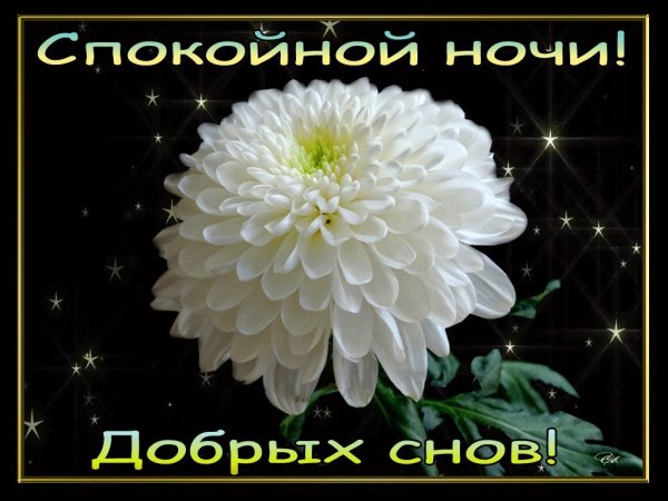 Спокойной ночи