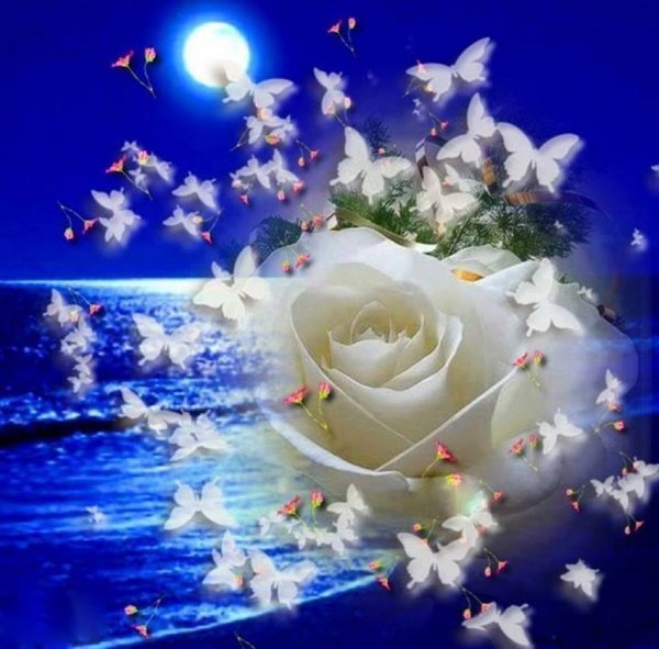 Спокойной ночи гифки красивые